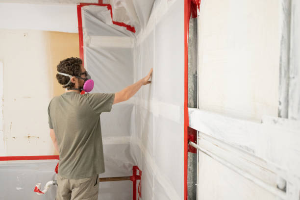 Best Mold Documentation for Insurance Claims  in Versailles, IN