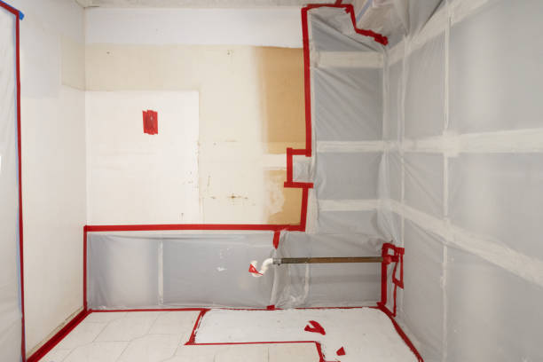 Best Commercial Mold Inspection  in Versailles, IN
