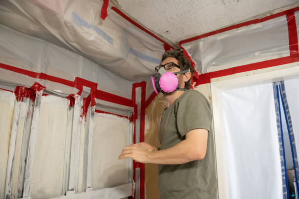 Best Attic Mold Removal  in Versailles, IN